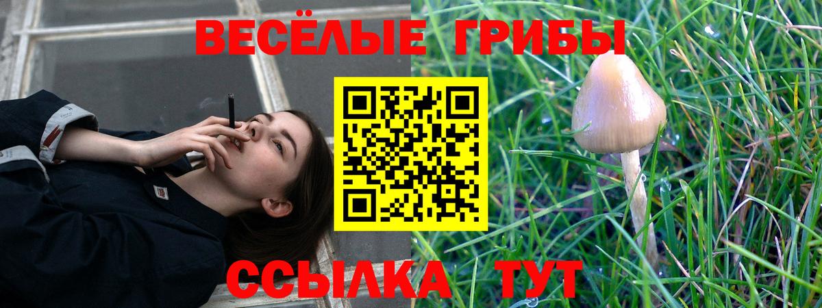 Галлюциногенные грибы Magic Shrooms Миасс